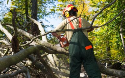 Subsidie investeren in geïntegreerde gewasbescherming