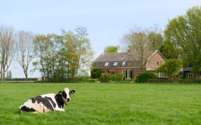 Rechtbank: voormalige bedrijfswoning terecht omgezet naar plattelandswoning