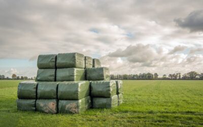 Uitstel openstelling subsidie behoud graslandareaal