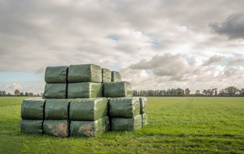 Uitstel openstelling subsidie behoud graslandareaal