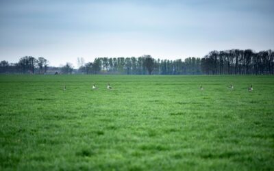 Wijziging vergunningvereisten beëindigingsregelingen